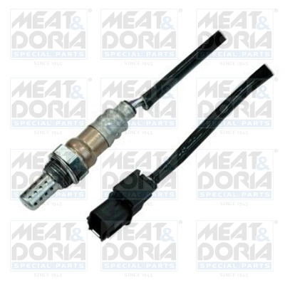 Oxygen Sensor